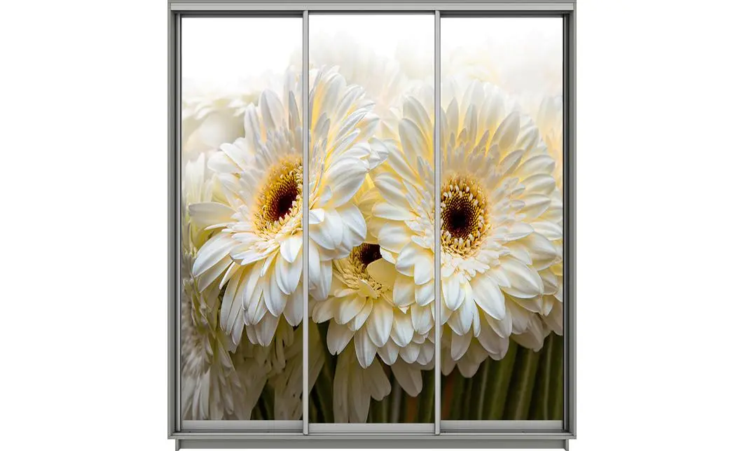 Dulap Print 3 Usi 2169, L270 x H220 x A60