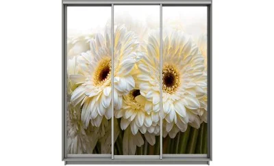 Dulap Print 3 Usi 2169, L270 x H220 x A60