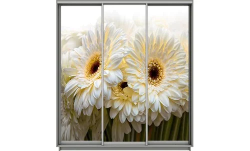 Dulap Print 3 Usi 2169, L270 x H220 x A60