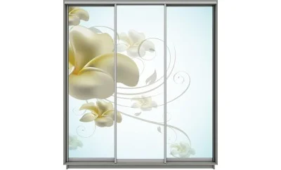 Dulap Print 3 Usi 2824, L270 x H220 x A60