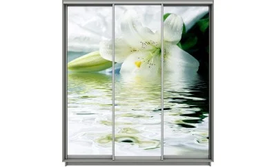 Dulap Print 3 Usi 3070, L270 x H220 x A60