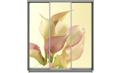 Dulap Print 3 Usi 998, L270 x H220 x A60