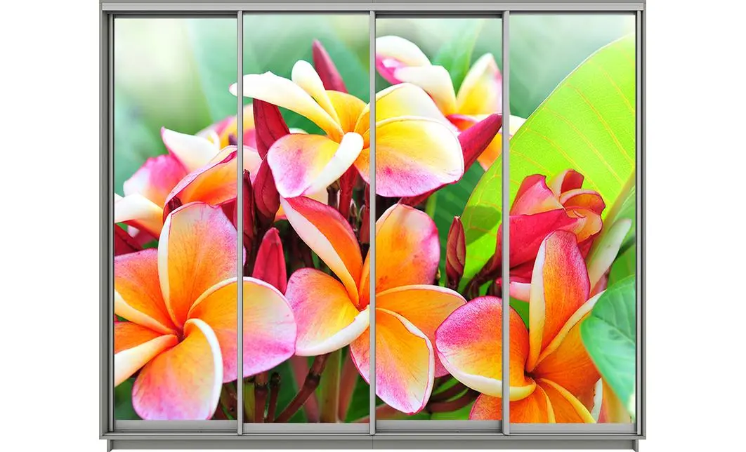 Dulap Print 4 Usi 1344, L280 x H240 x A60