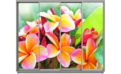 Dulap Print 4 Usi 1344, L280 x H240 x A60