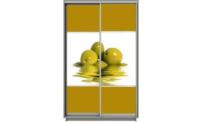 Dulap Print 2 Usi 476, L160 x H220 x A60