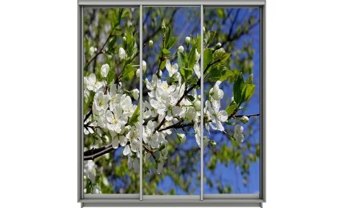 Dulap Print 3 Usi 3049, L190 x H220 x A60