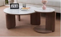 Set 2 Măsuțe de Cafea CT0110 LC  Alb/Nuc