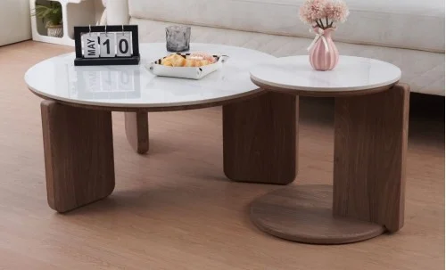 Set 2 Măsuțe de Cafea CT0110 LC  Alb/Nuc