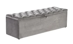 Banca Hadise cu lada de depozitare