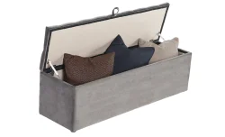 Banca Hadise cu lada de depozitare