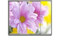 Dulap Print 4 Usi 174, L280 x H240 x A60