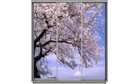 Dulap Print 3 Usi 2230, L190 x H220 x A60