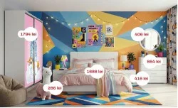 Amenajare Camera "Tineret"