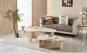 Set 2 Măsuțe Cafea CT 8111 Natural