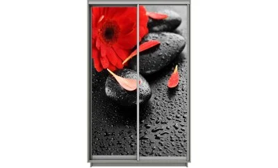 Dulap Print 2 Usi 1065, L100 x H220 x A60