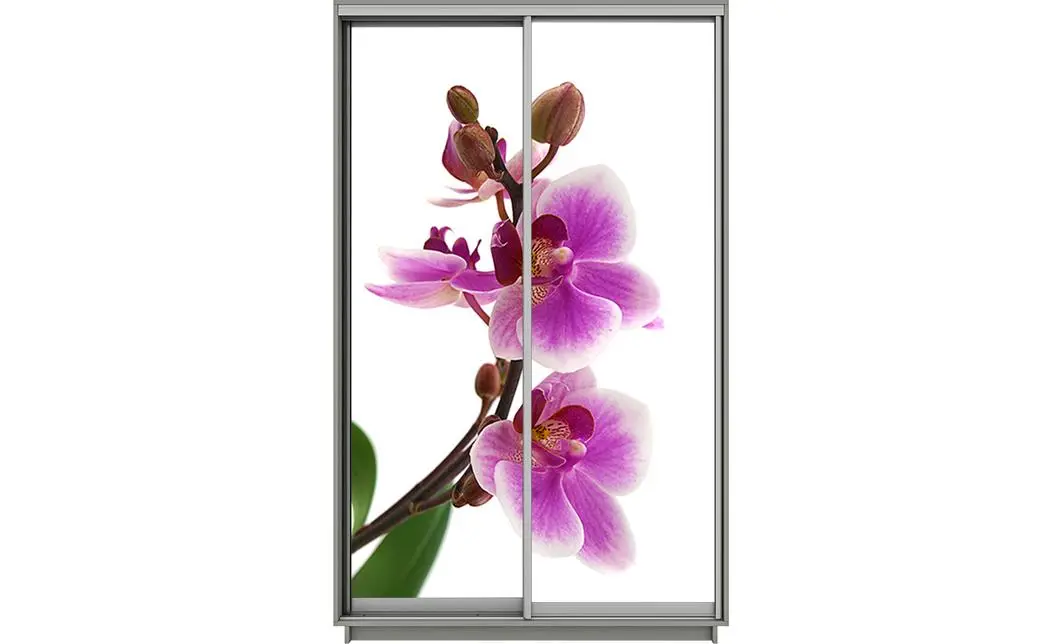 Dulap Print 2 Usi 1077, L100 x H220 x A60