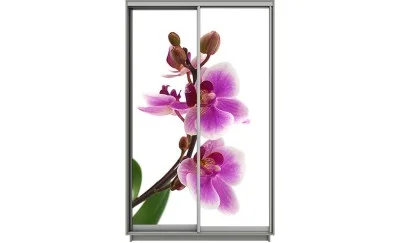 Dulap Print 2 Usi 1077, L100 x H220 x A60