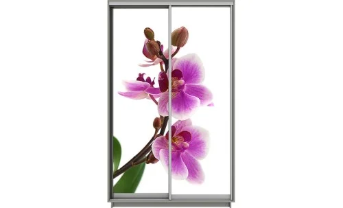 Dulap Print 2 Usi 1077, L100 x H220 x A60