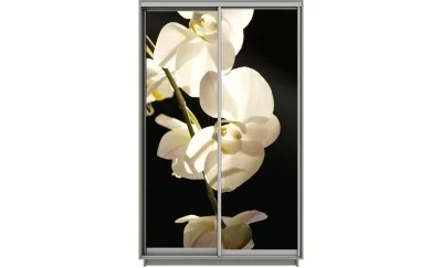 Dulap Print 2 Usi 1254, L100 x H220 x A60