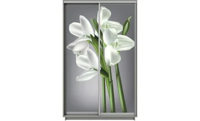 Dulap Print 2 Usi 1446, L100 x H220 x A60