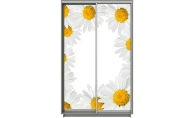 Dulap Print 2 Usi 1480, L100 x H220 x A60