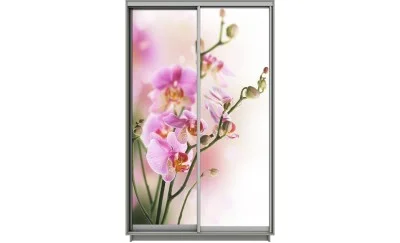 Dulap Print 2 Usi 1482, L100 x H220 x A60