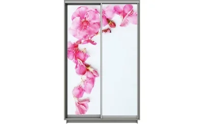 Dulap Print 2 Usi 1489, L100 x H220 x A60