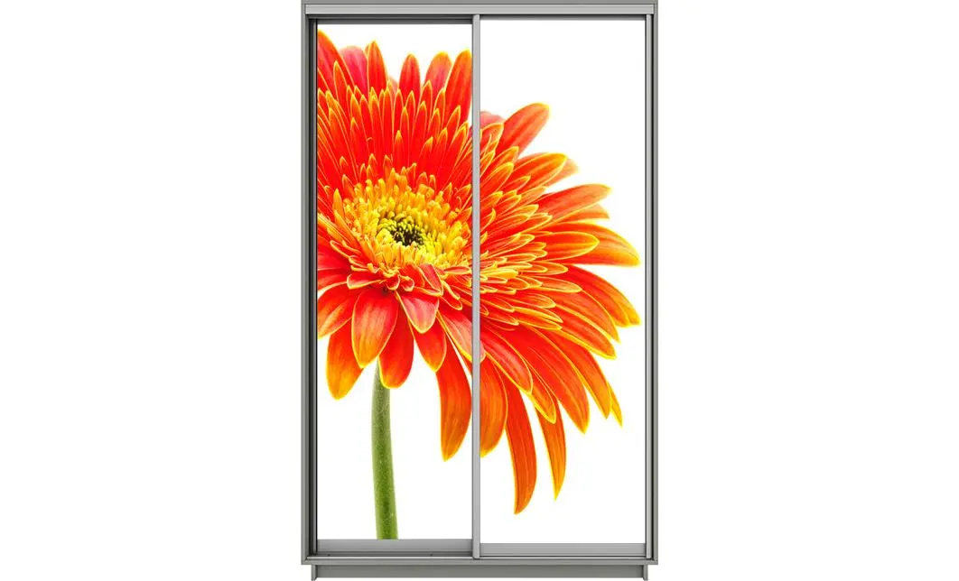 Dulap Print 2 Usi 1499, L100 x H220 x A60