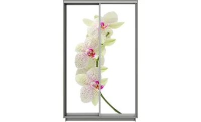 Dulap Print 2 Usi 1511, L100 x H220 x A60