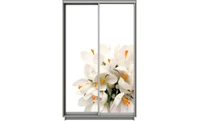 Dulap Print 2 Usi 1517, L100 x H220 x A60