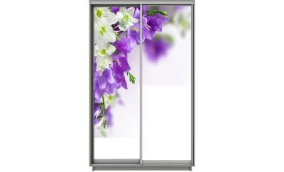 Dulap Print 2 Usi 1524, L100 x H220 x A60