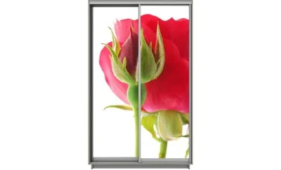 Dulap Print 2 Usi 1530, L100 x H220 x A60