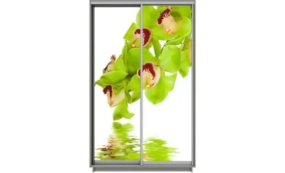 Dulap Print 2 Usi 1548, L100 x H220 x A60