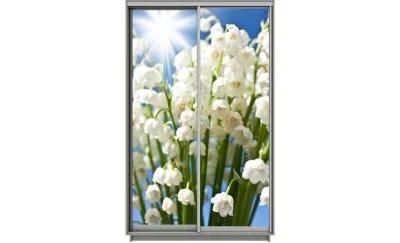 Dulap Print 2 Usi 1554, L100 x H220 x A60