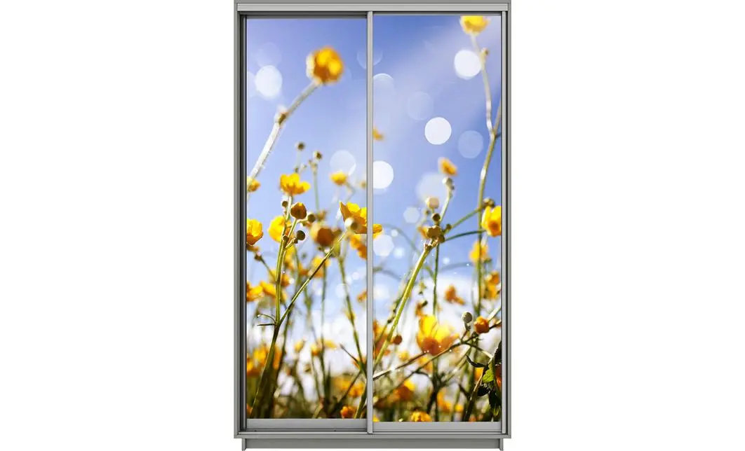 Dulap Print 2 Usi 1557, L100 x H220 x A60