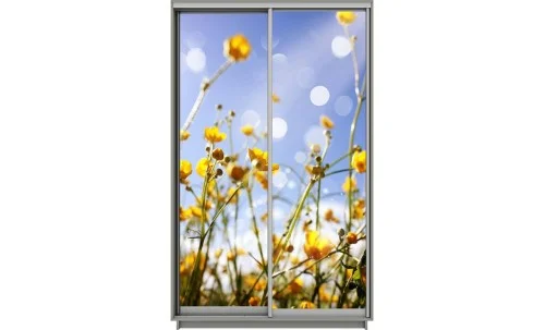 Dulap Print 2 Usi 1557, L100 x H220 x A60