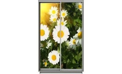 Dulap Print 2 Usi 1558, L100 x H220 x A60