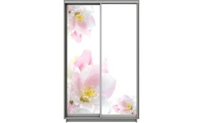 Dulap Print 2 Usi 1584, L100 x H220 x A60