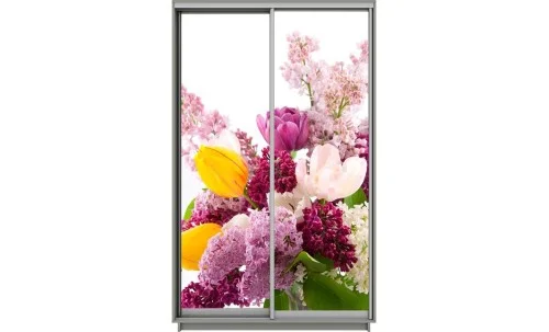 Dulap Print 2 Usi 1603, L100 x H220 x A60