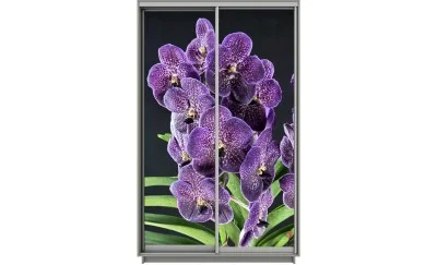 Dulap Print 2 Usi 1608, L100 x H220 x A60