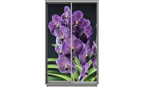 Dulap Print 2 Usi 1608, L100 x H220 x A60