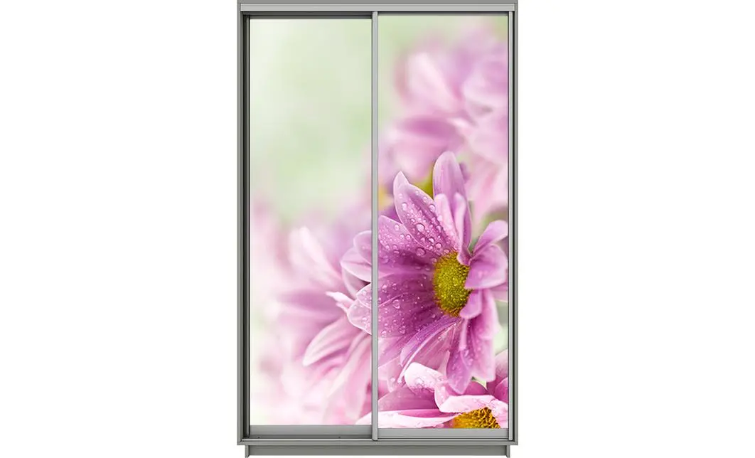 Dulap Print 2 Usi 1811, L100 x H220 x A60