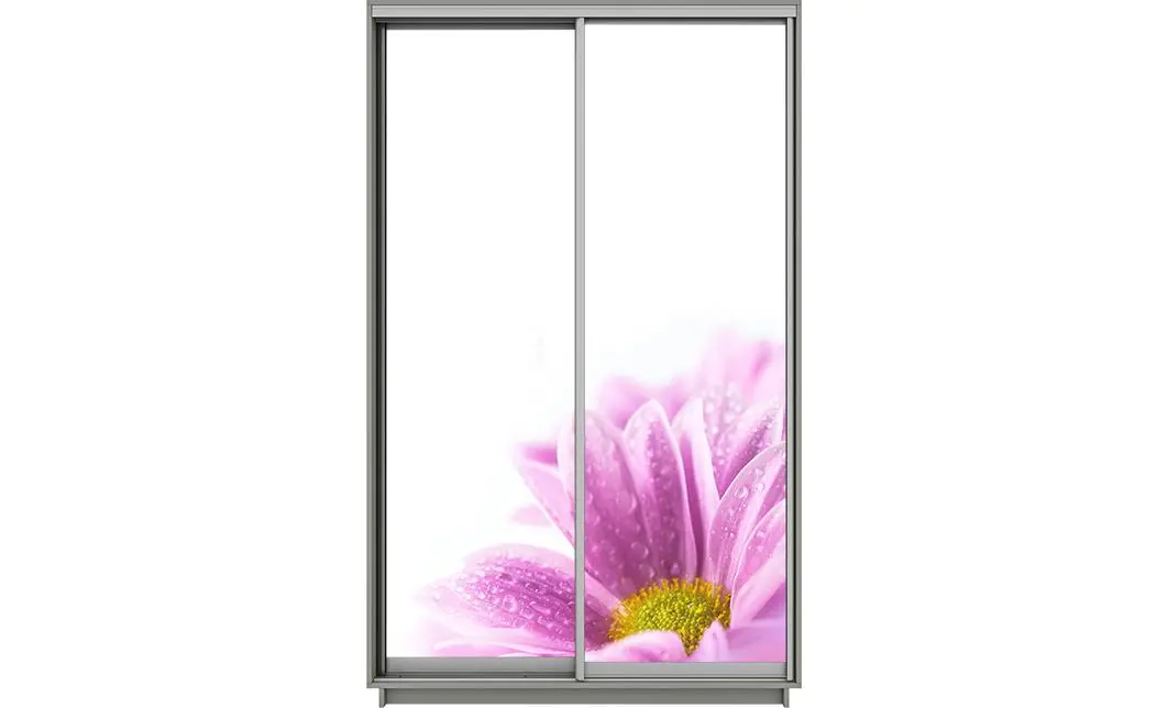 Dulap Print 2 Usi 1813, L100 x H220 x A60