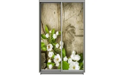 Dulap Print 2 Usi 2019, L100 x H220 x A60