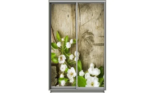 Dulap Print 2 Usi 2019, L100 x H220 x A60