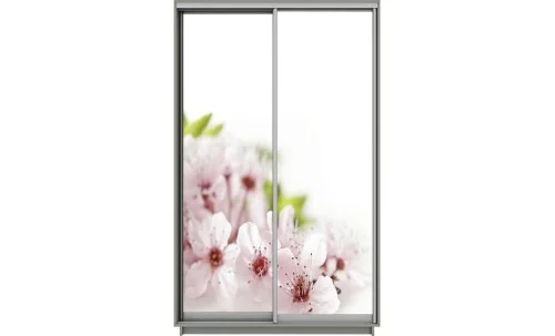 Dulap Print 2 Usi 2023, L100 x H220 x A60