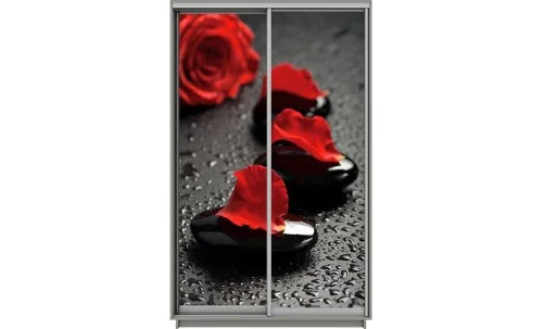 Dulap Print 2 Usi 2027, L100 x H220 x A60