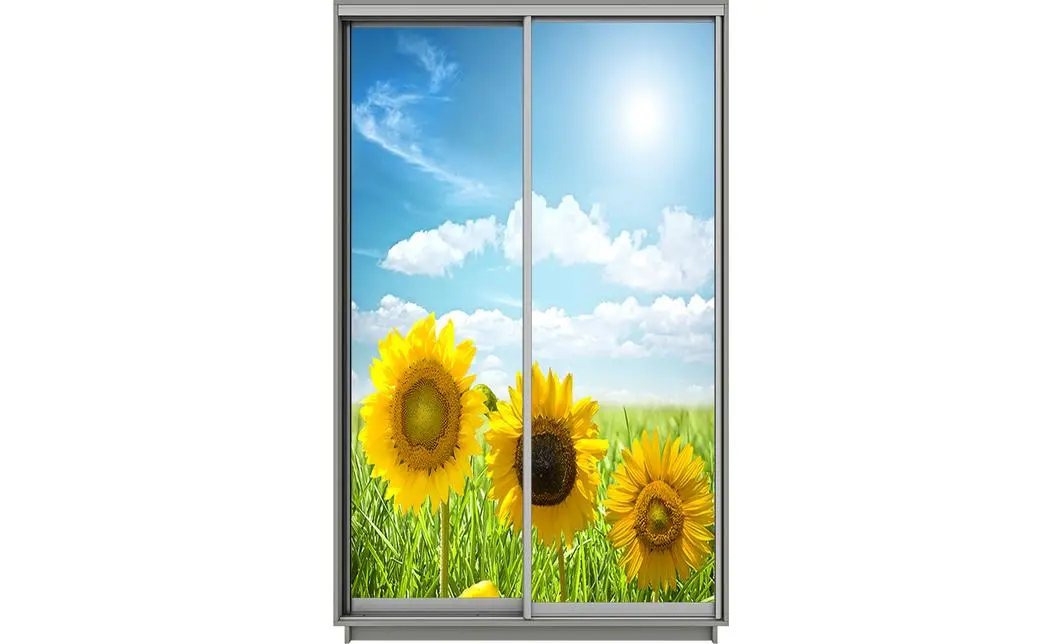 Dulap Print 2 Usi 2031, L100 x H220 x A60