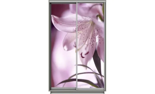 Dulap Print 2 Usi 2036, L100 x H220 x A60