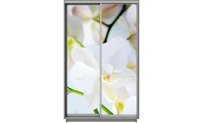 Dulap Print 2 Usi 2050, L100 x H220 x A60